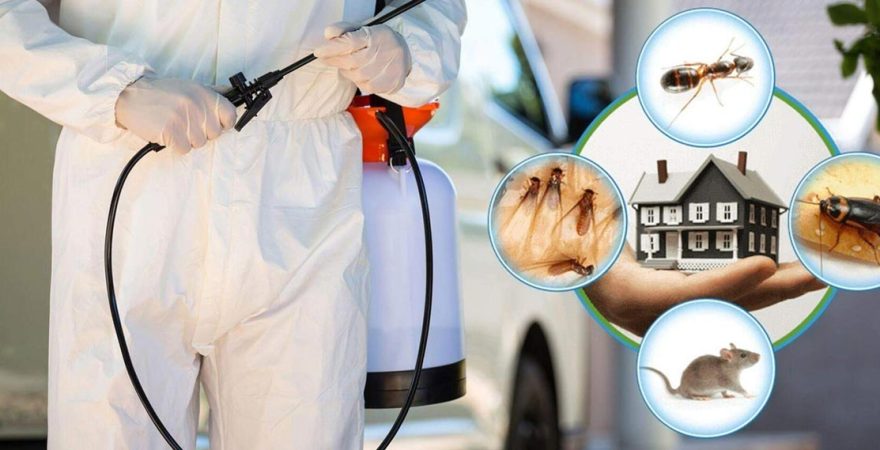 Akseki Böcek İlaçlama