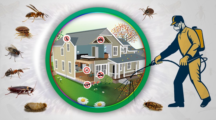 Akseki Böcek İlaçlama