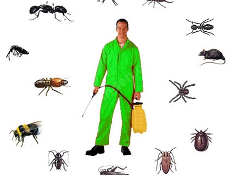 Akseki Böcek İlaçlama